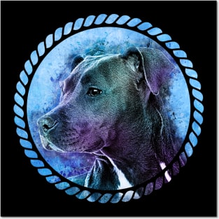 American Staffordshire Terrier - Amstaff Posters and Art